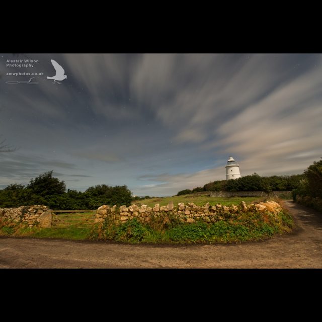 Road to the lighthouse