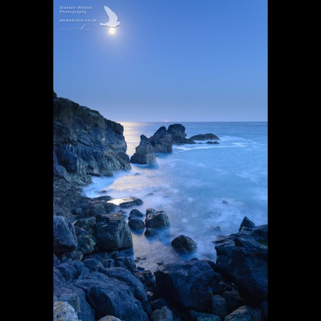 Moonlight ocean rocks